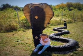 Noé Kertje Élménypark Eger – 3. kép