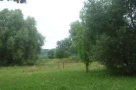 Nyírjes  – 2. kép
