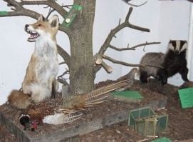 Őrségi Vadászati Kiállítás – 4. kép