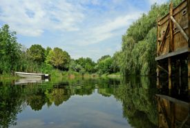 Pákozdi Pagony Vadaspark és Arborétum – 4. kép