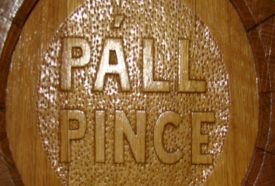Páll Pince – 5. kép