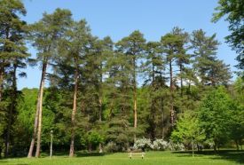 Parádfürdői park