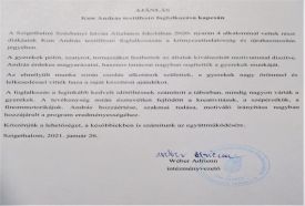 Rejtélyes, és mágikus kb.: 8 millió éve megkövült delfinfej szerű homokkő – 4. kép