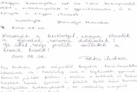 Rejtélyes, és mágikus kb.: 8 millió éve megkövült delfinfej szerű homokkő – 5. kép