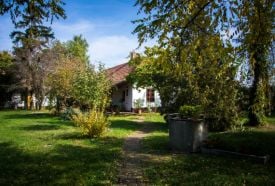 Sárarany Szalmaporta – 2. kép