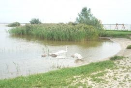 Sétahajózás a Fertő tavon – 4. kép