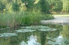 Jókai park – 5. kép