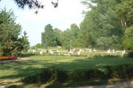 Rózsa-liget – 4. kép
