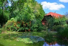 Sipito Pihenőpark – 5. kép