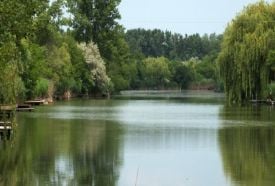 Sóczó-zugi Holtág – 2. kép