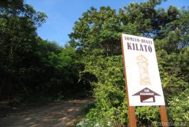Somlyó-hegyi kilátó – 3. kép