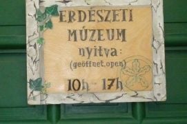 Erdészeti-faipari és földméréstörténeti gyűjtemény – 3. kép