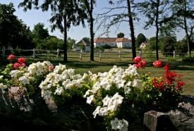 Szántódpuszta