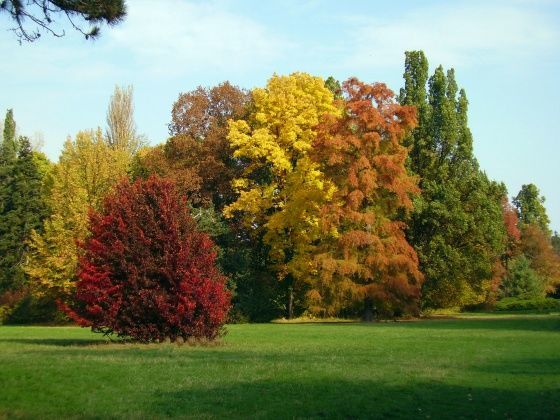 Szarvasi Arborétum