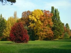 Szarvasi Arborétum