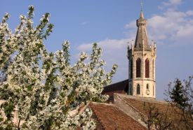 Szent Mihály templom – 3. kép