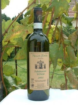 Szent Orbán pincészet – 3. kép