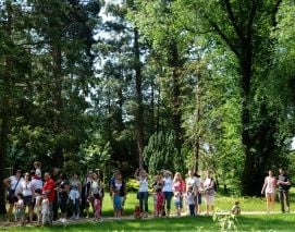 Kámoni Arborétum – 4. kép