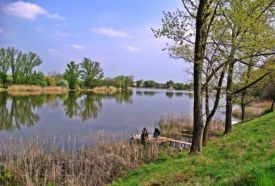 Tiszaugi holtág – 2. kép