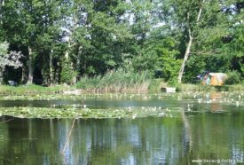 Tiszaugi holtág – 3. kép