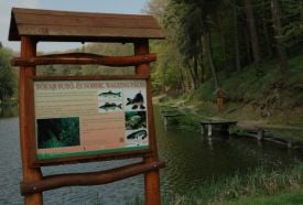 Tókaji Parkerdő – 5. kép