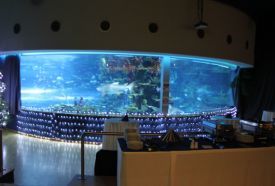 Tropicarium – 5. kép
