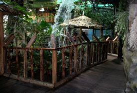 Tropicarium – 3. kép