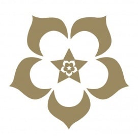 Új élet stúdió