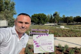 Újpesti Levendulapark – 2. kép