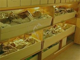 Görög Templom pincéje ill. kiállítóterme – 2. kép