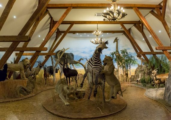 Természet és Vadvilág - Dioráma Kiállítás és Természetismereti Centrum
