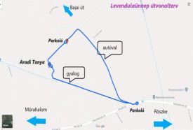 VIII. Mórahalmi Levendulaünnep – 2. kép