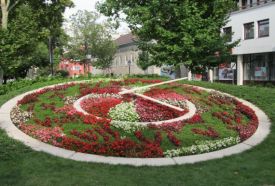 Virágóra