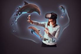 Virtuális Valóság, VR - Bad Chicken VR Center – 2. kép