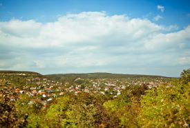 Vörös homokkő Tanösvény – 4. kép