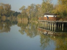 WF Szabadidőpark 