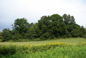 Zselici Csillagpark - Ropolyi Pihenőhely – 3. kép