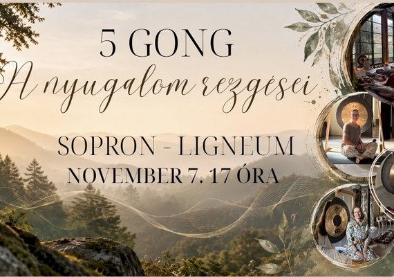 5 gong – A nyugalom rezgései hangutazás