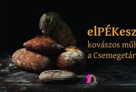Almásy-kastély: elPÉKesztő - kovászos műhelymunka