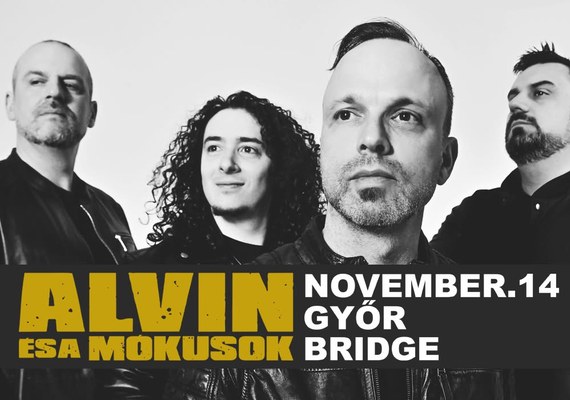 Alvin és a Mókusok koncert