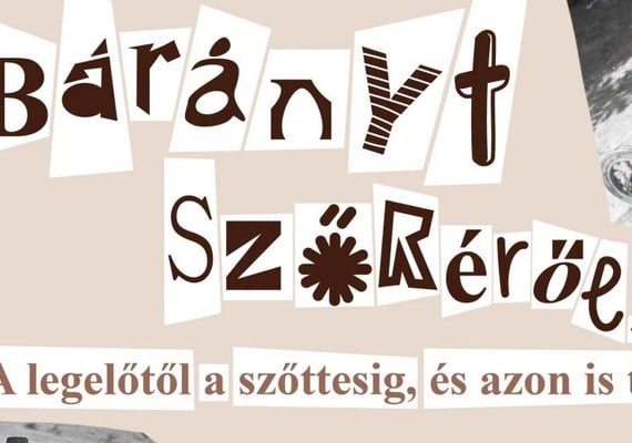 Bárányt szőréről… A legelőtől a szőttesig, és azon is túl