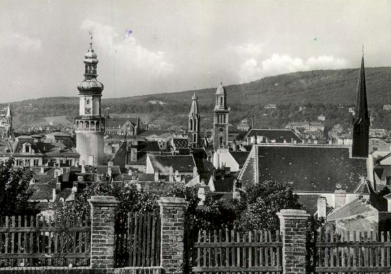 Bécsi-domb túra (téli honismereti túrasorozat)