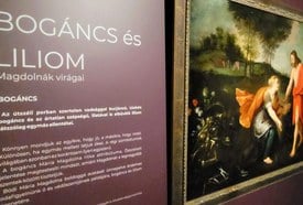 Bogáncs és Liliom - Magdolnák virágai