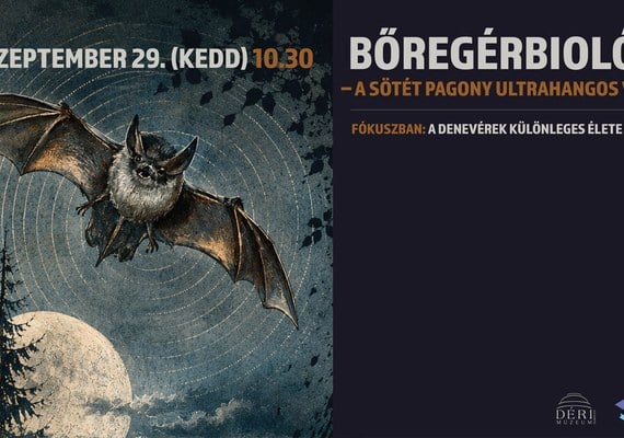 BŐREGÉRBIOLÓGIA – A SÖTÉT PAGONY ULTRAHANGOS VADÁSZAI