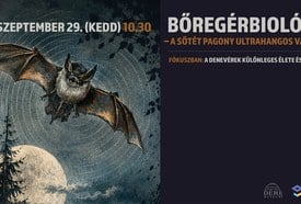 BŐREGÉRBIOLÓGIA – A SÖTÉT PAGONY ULTRAHANGOS VADÁSZAI