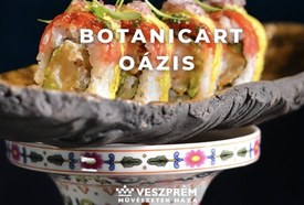 BotanicArt: Oázis / Október