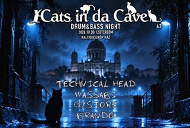 Cats in da Cave 42