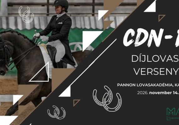 CDN-B Díjlovas Verseny