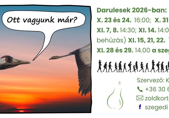 Darules a szegedi Fehér-tónál