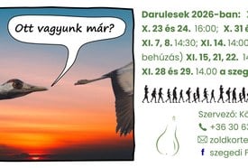 Darules a szegedi Fehér-tónál